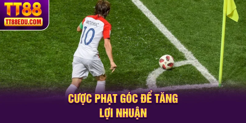 Cược phạt góc để tăng lợi nhuận