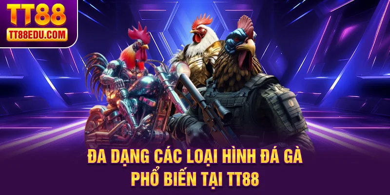 Đa dạng các loại hình đá gà phổ biến tại TT88