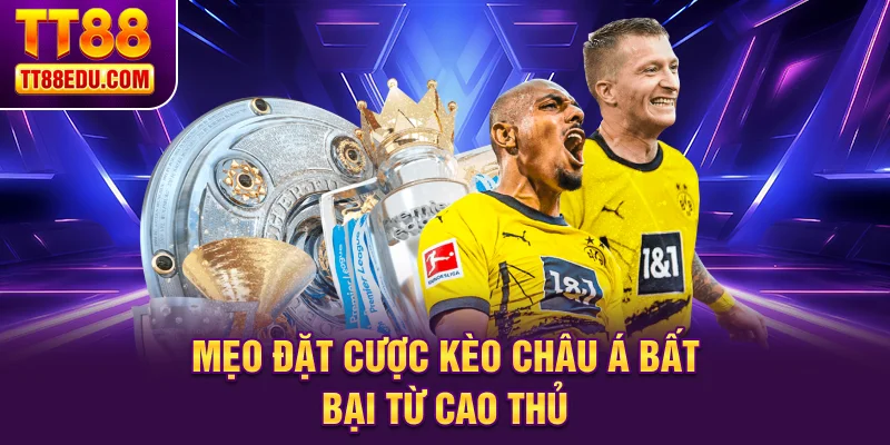 Mẹo đặt cược kèo Châu Á bất bại từ cao thủ