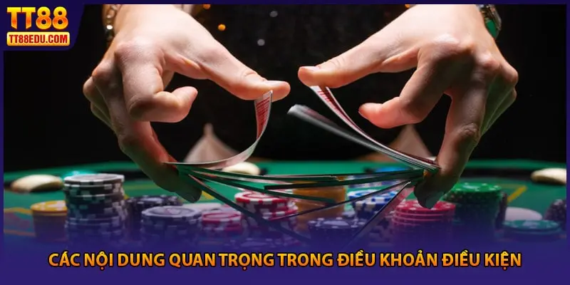 Các nội dung quan trọng trong điều khoản điều kiện